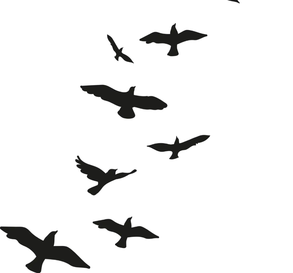 سرمایه گذاری مطمئن